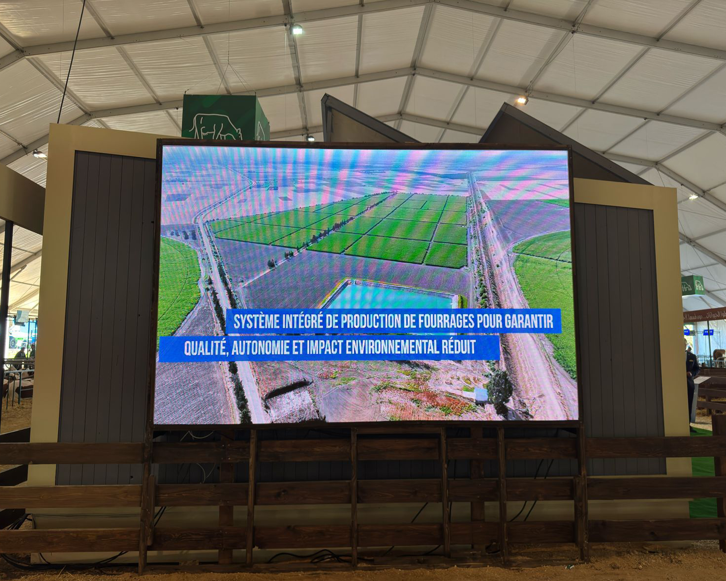 Untitled-2_0002_WhatsApp Image 2025-12-16 at 22.24.12 (2)